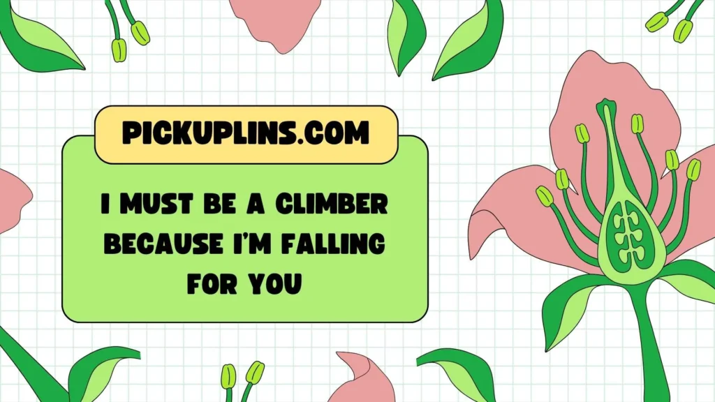 Bold Boulder Pickup Lines