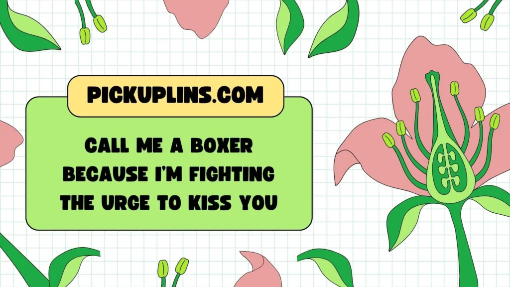 Bold Boxer Pickup Lines
