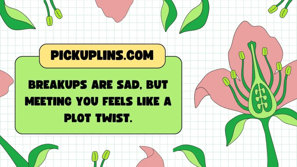 Breakup Pickup Lines