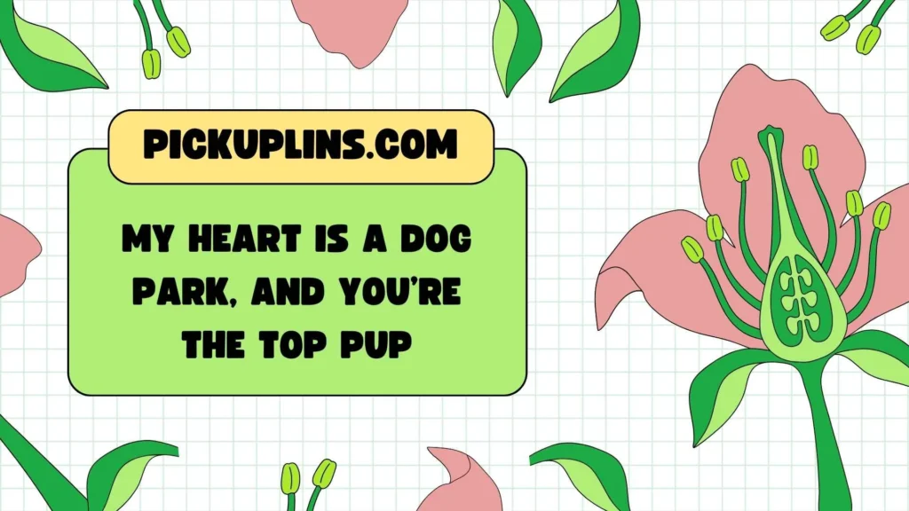 Cheesy Dog Groomer Pickup Lines