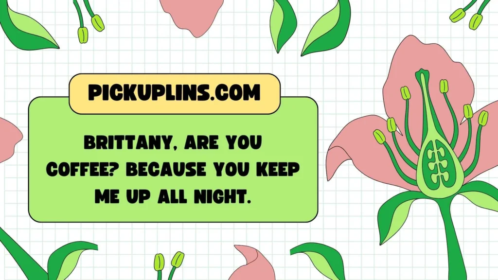 Cute Brittany Pickup Lines
