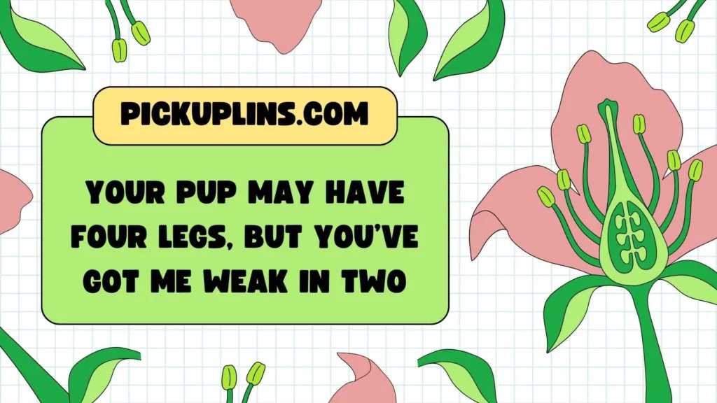 Cute Dog Mom Pickup Lines