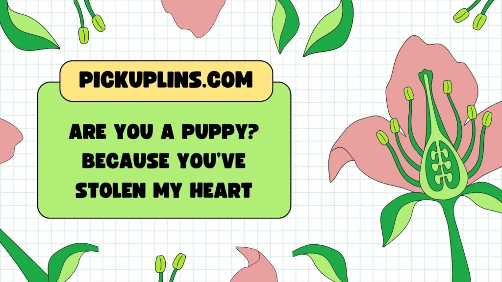 Cute Dog Pickup Lines
