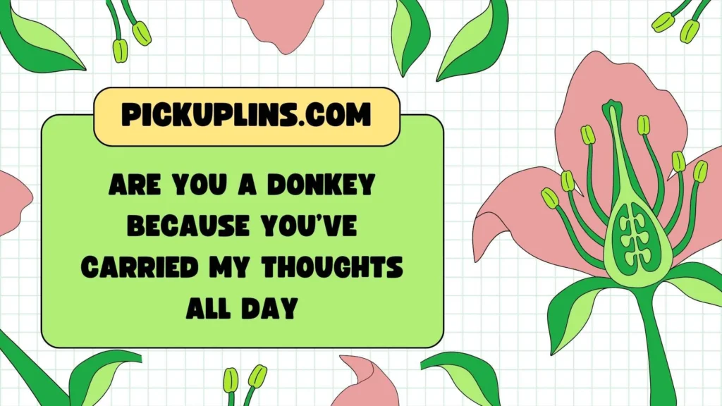Donkey Text & DM Lines