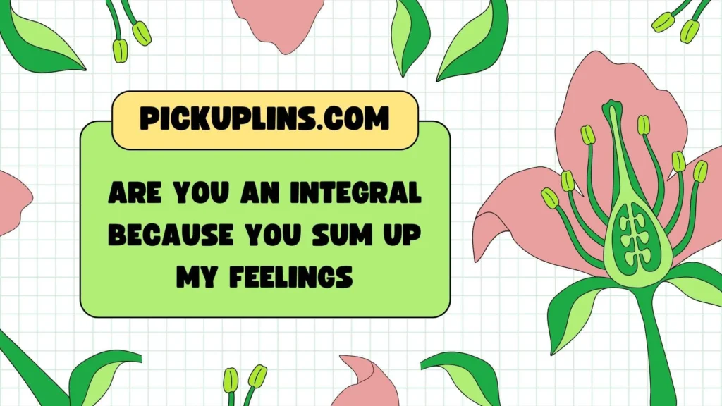 Flirty Calc Pickup Lines for Him