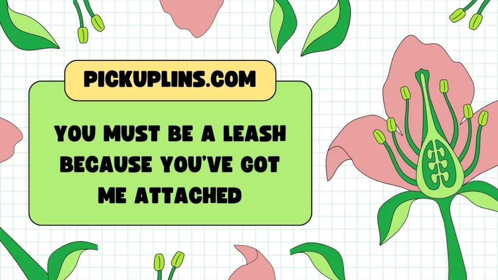 Flirty Dog Mom Pickup Lines