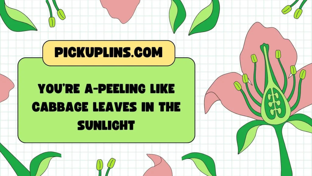 Funny & Punny Rizz 