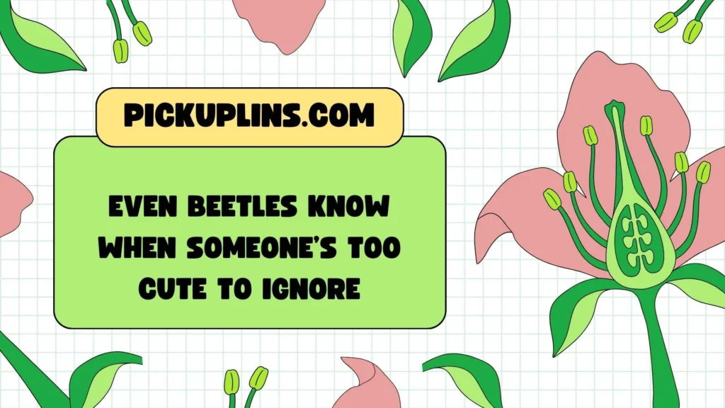 Funny Beetle Rizz Lines