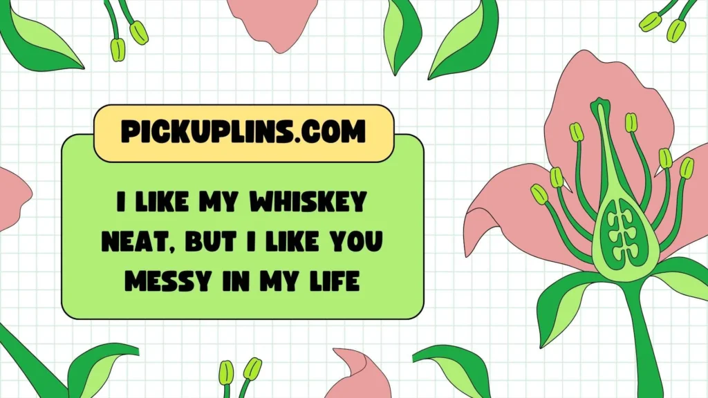 Funny Bourbon Pick Up Lines