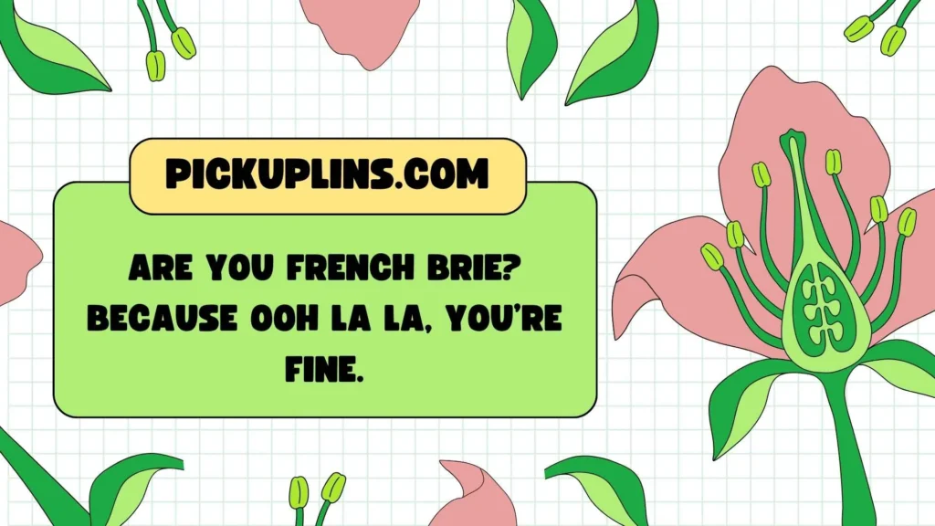 Funny Brie Pickup Lines