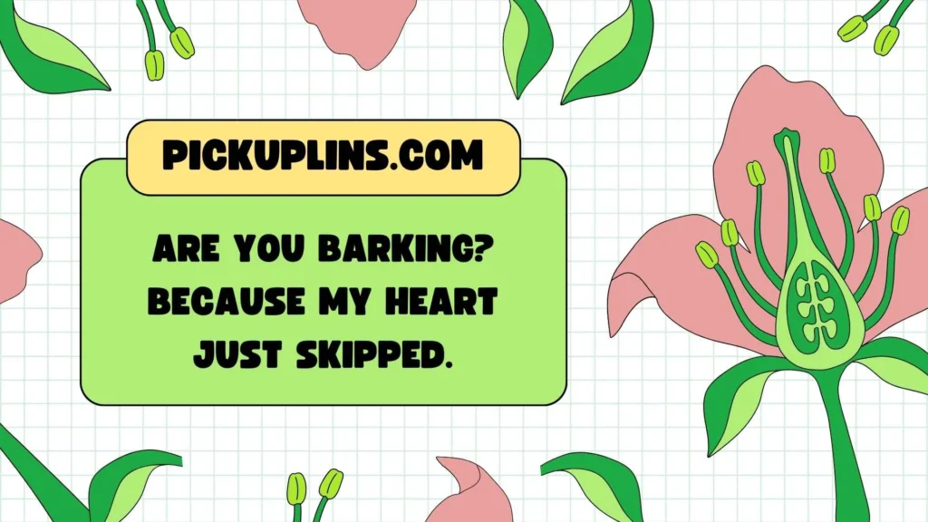 Funny Chihuahua Pickup Lines