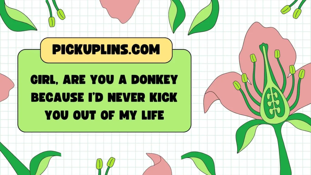 Funny Donkey Rizz Lines