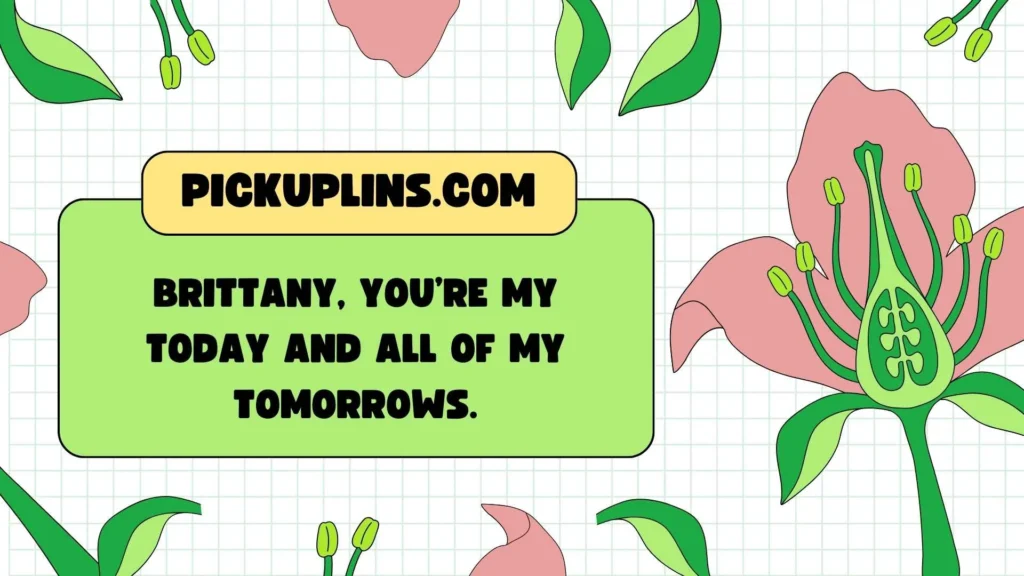 Romantic Brittany Pickup Lines