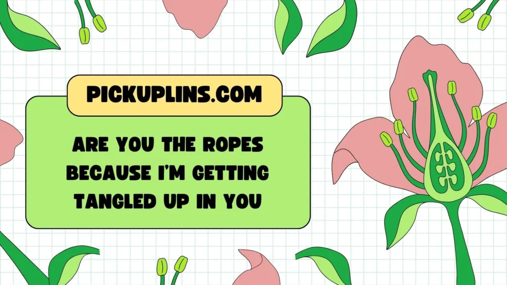 Severe Boxer Pickup Lines