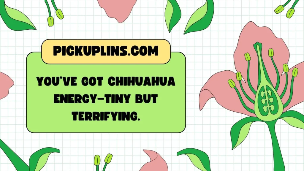 Severe Chihuahua Lines