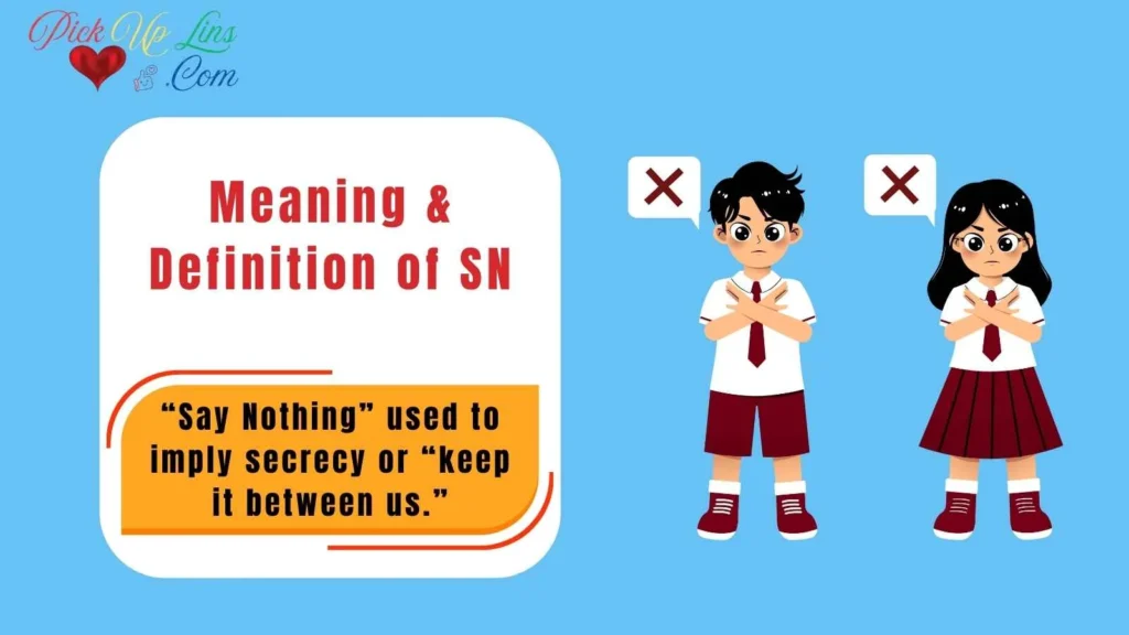 Meaning & Definition of SN