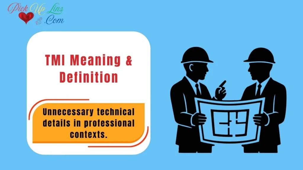 TMI Meaning & Definition
