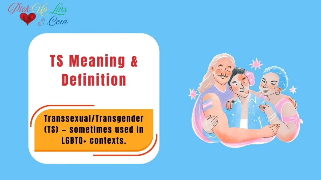 TS Meaning & Definition