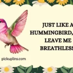 Hummingbird Pick Up Lines