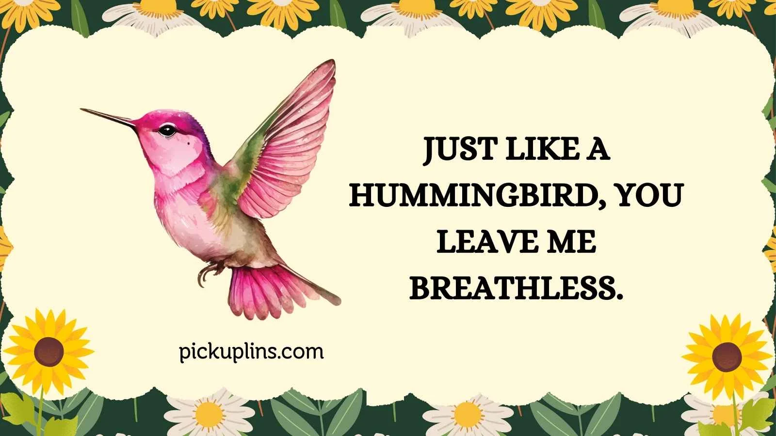 Hummingbird Pick Up Lines