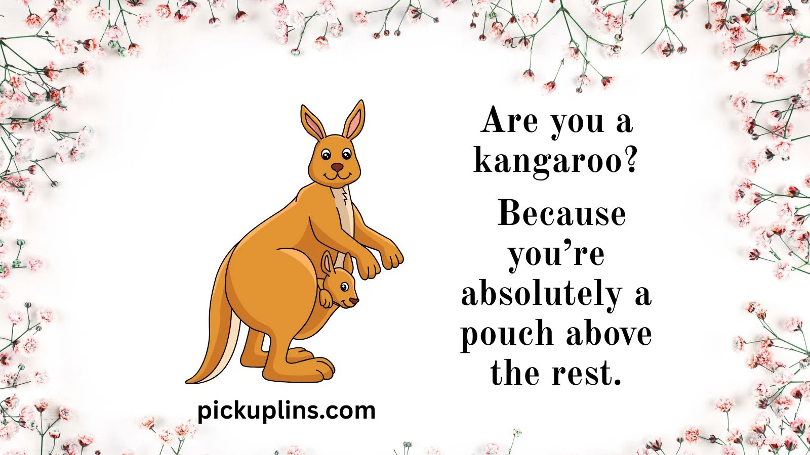Kangaroo Pick Up Lines