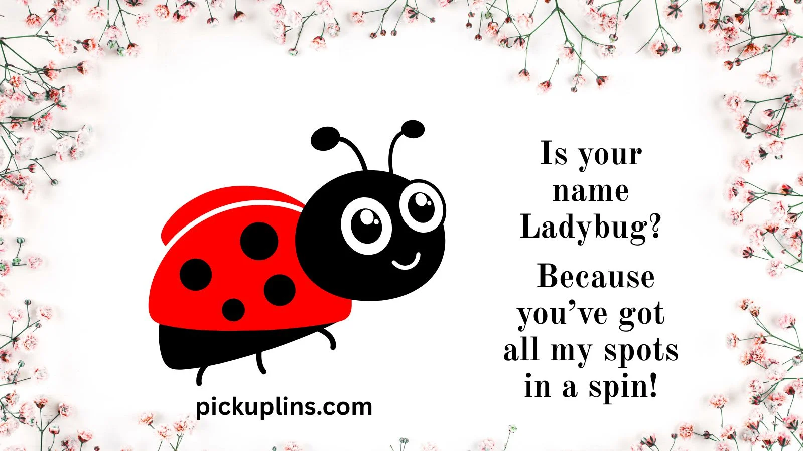 Ladybug Pick Up Lines
