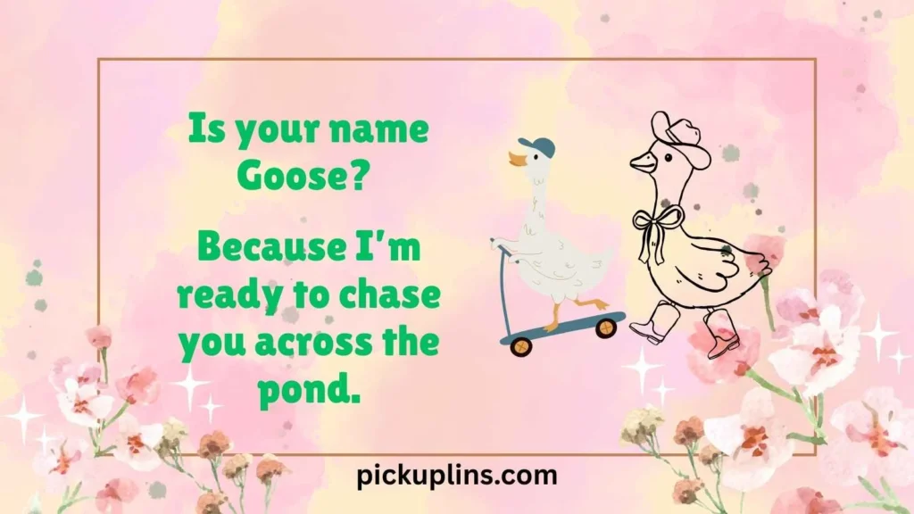 Bold Goose Rizz