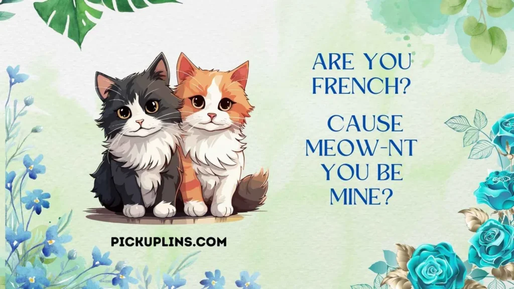 Cheesy Cat Pick Up Lines