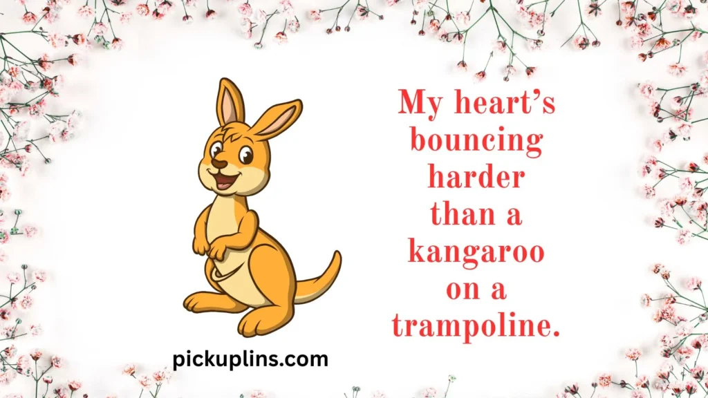 Classic Kangaroo Rizz 