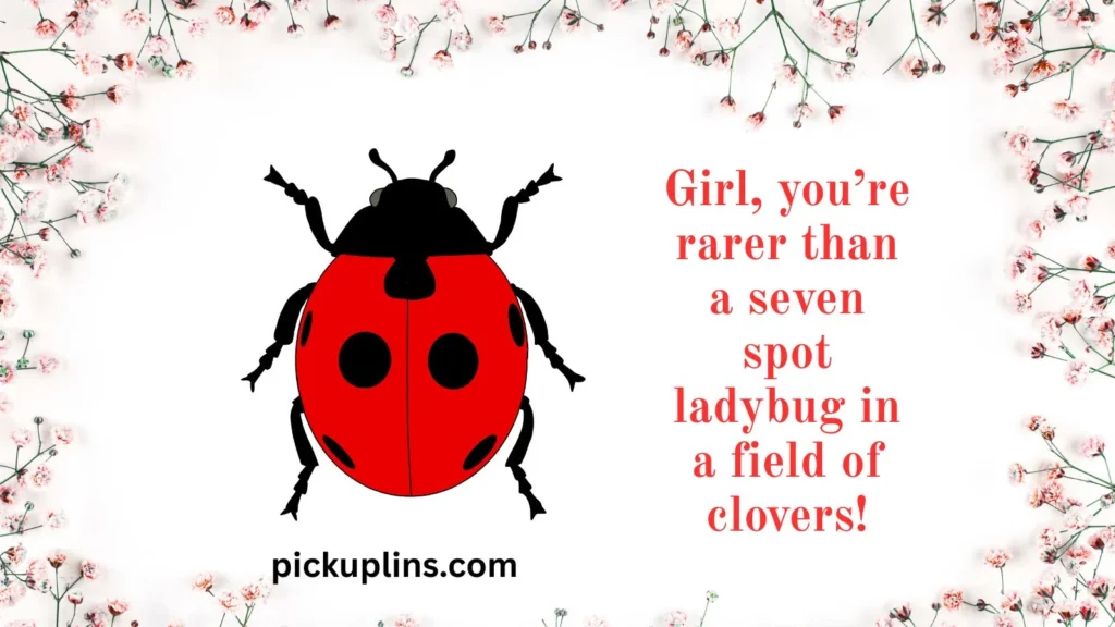 Classic Ladybug Rizz Lines