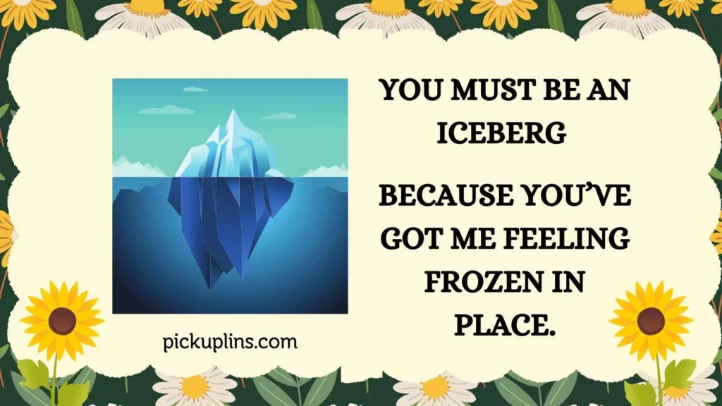 Cool Iceberg Pick Up Lines