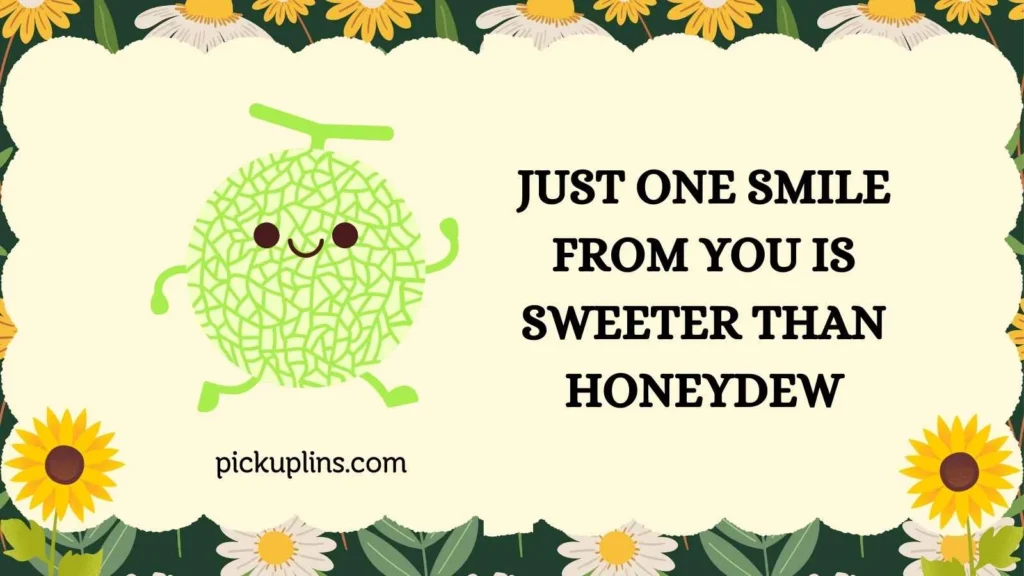 Cute Honeydew Pick Up Lines