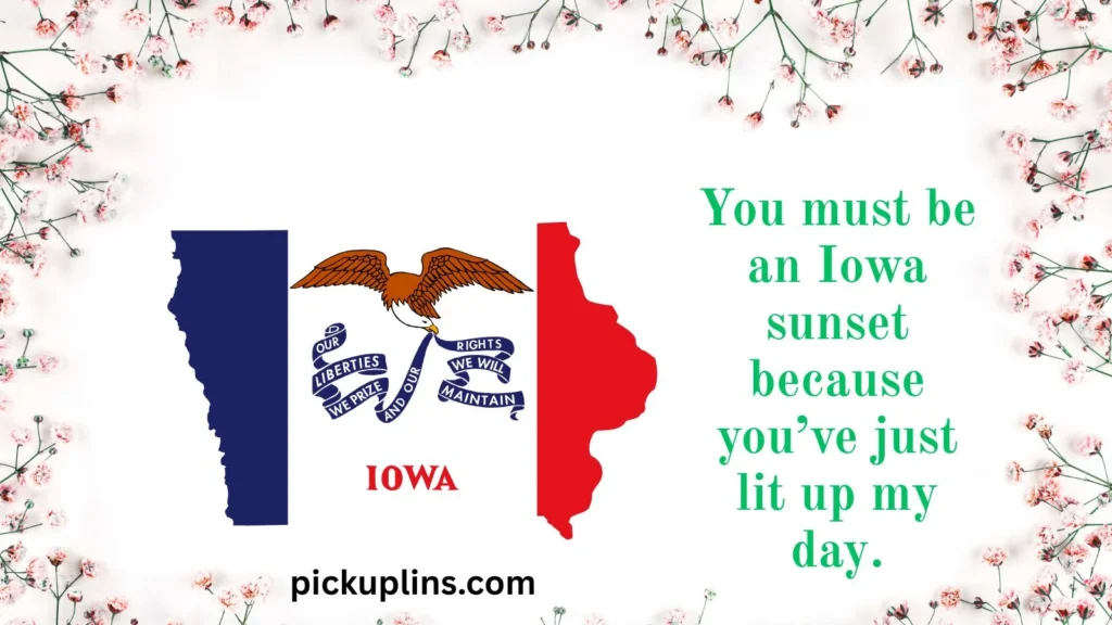 Cute Iowa Pick Up Lines 