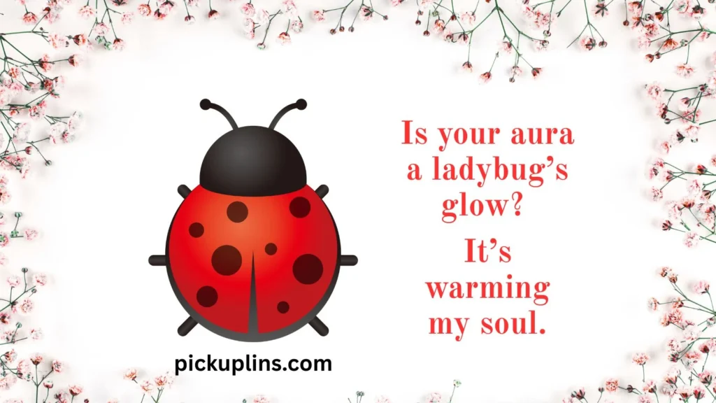 Cute Ladybug Lines