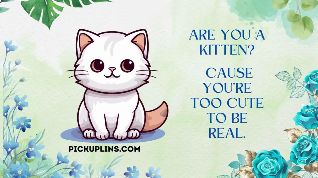 Cute Meow Lines