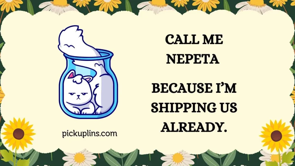 Cute Pick Up Lines for Homestuck fans