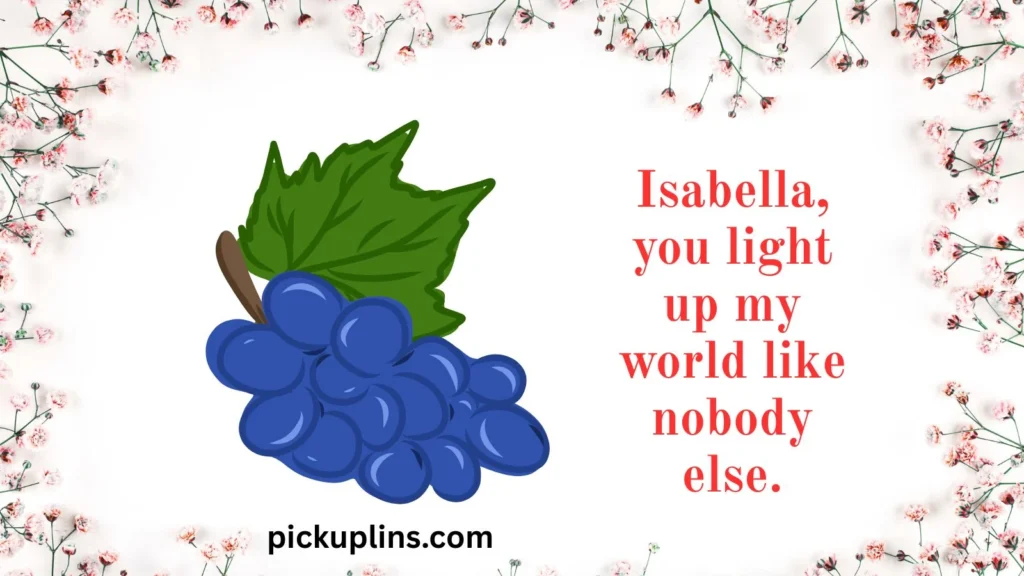 Cute Pick Up Lines for Isabella
