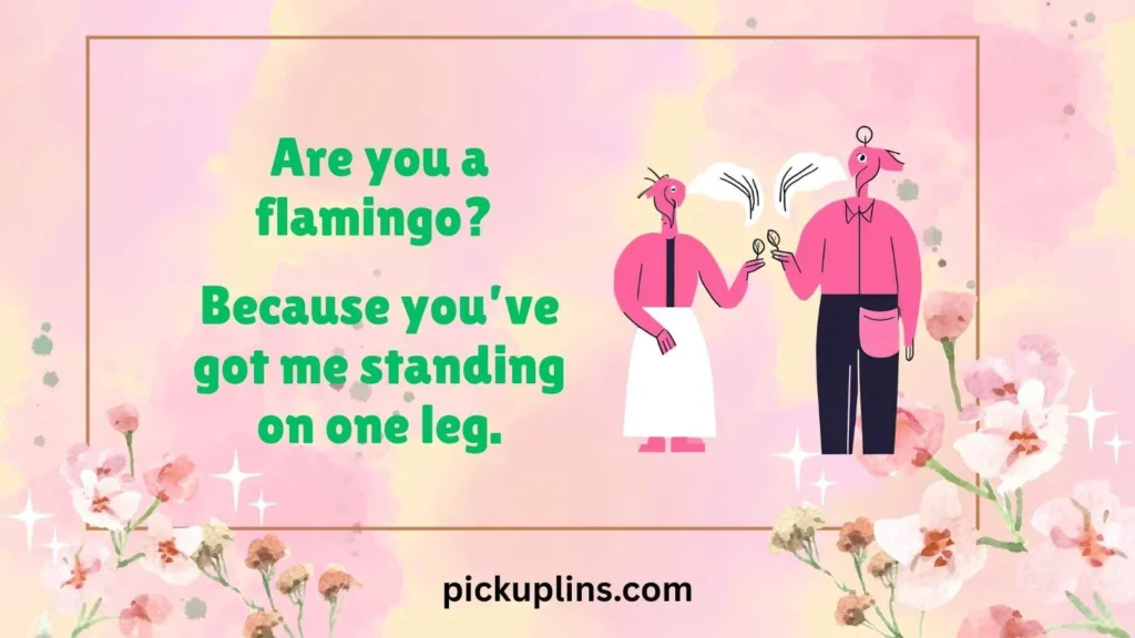 Flirty Flamingo Vibes