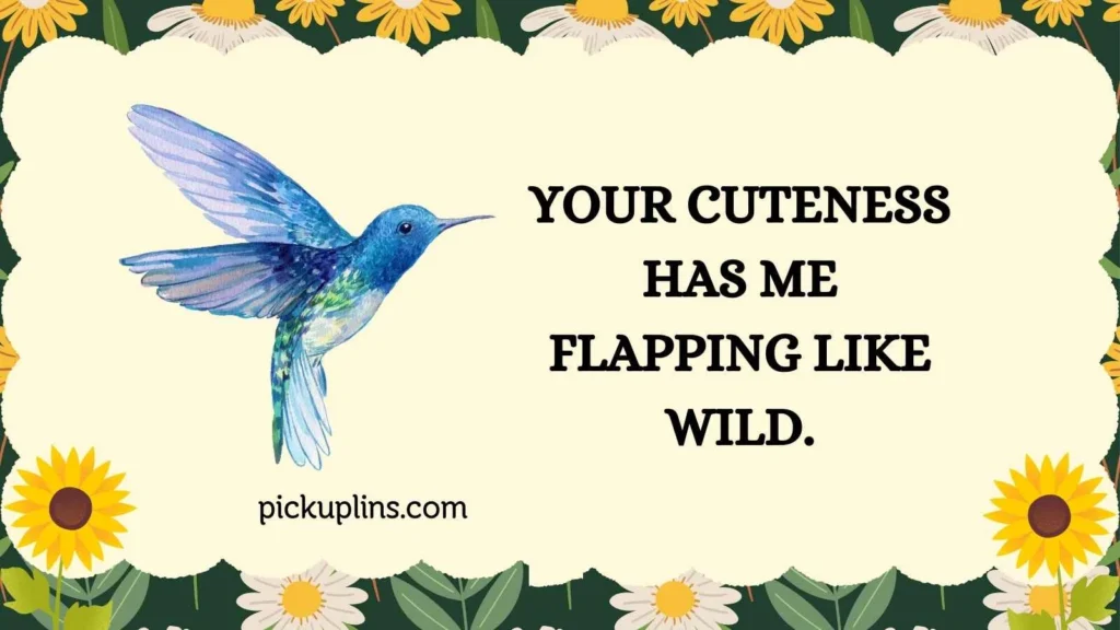 Funny Hummingbird Pick Up Lines