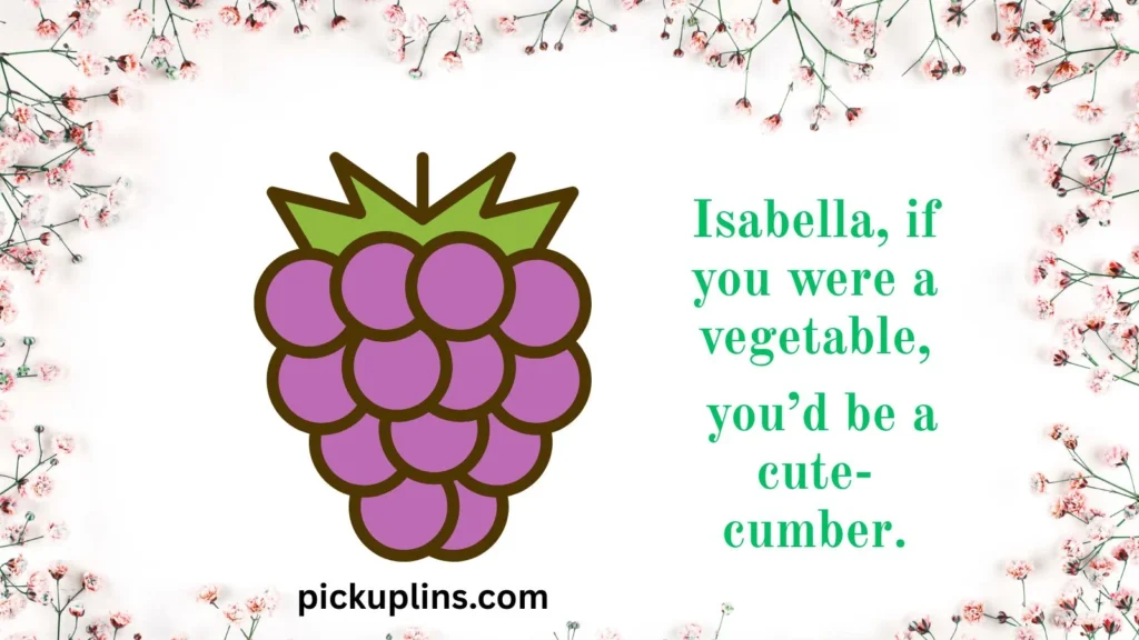 Funny Isabella Pick Up Lines
