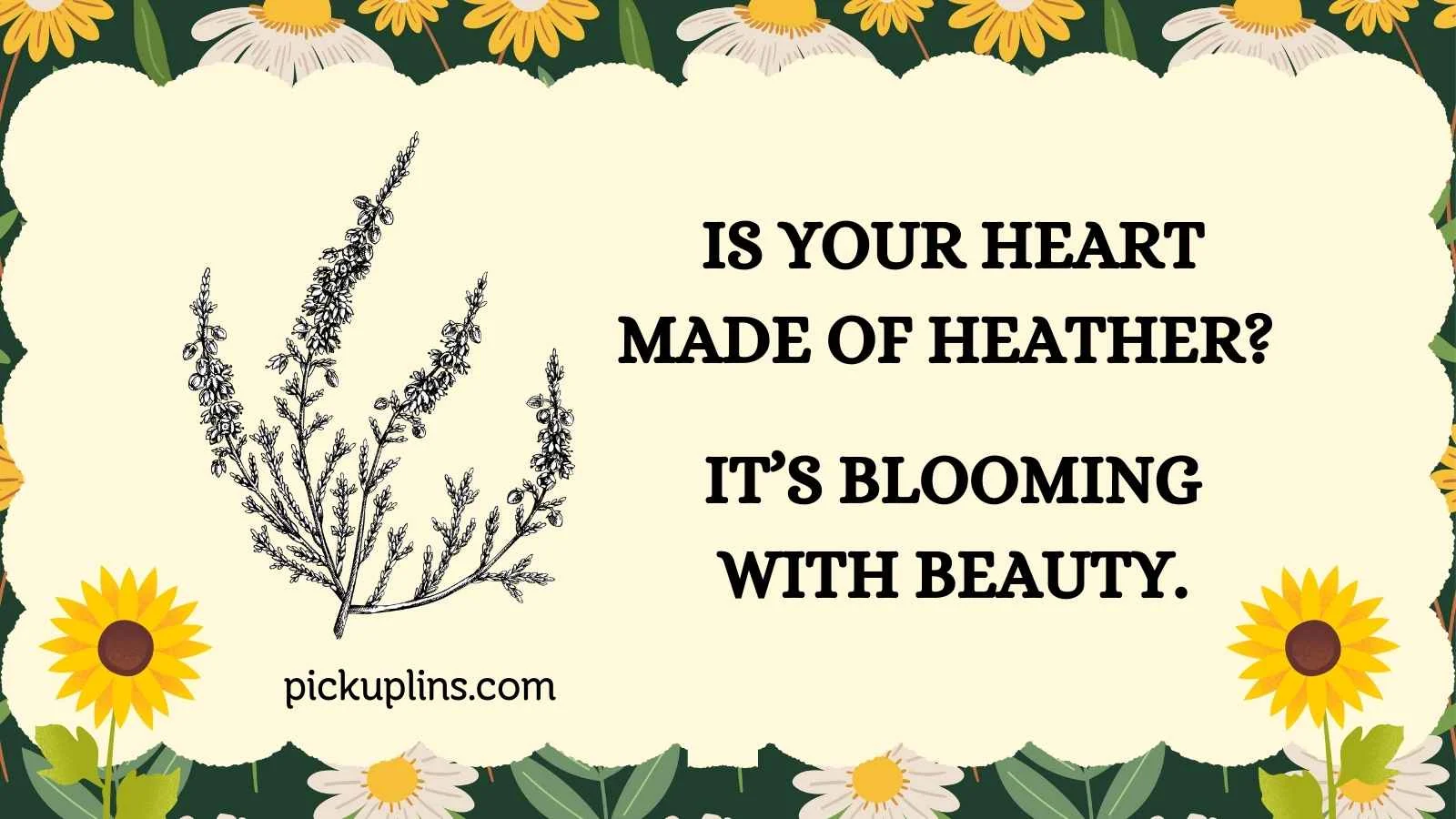 Heather Pick Up Lines