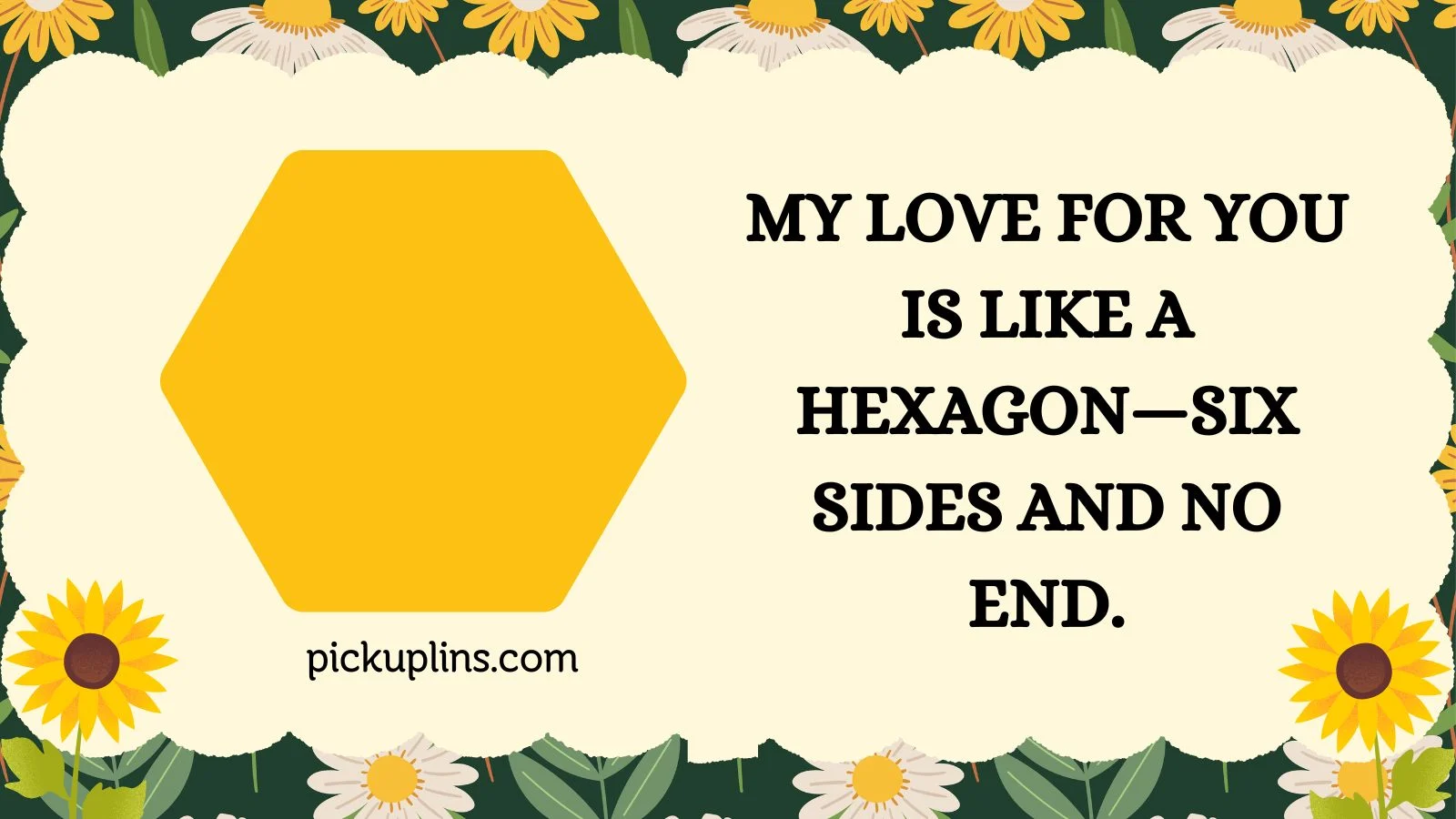Hexagon Pick Up Lines