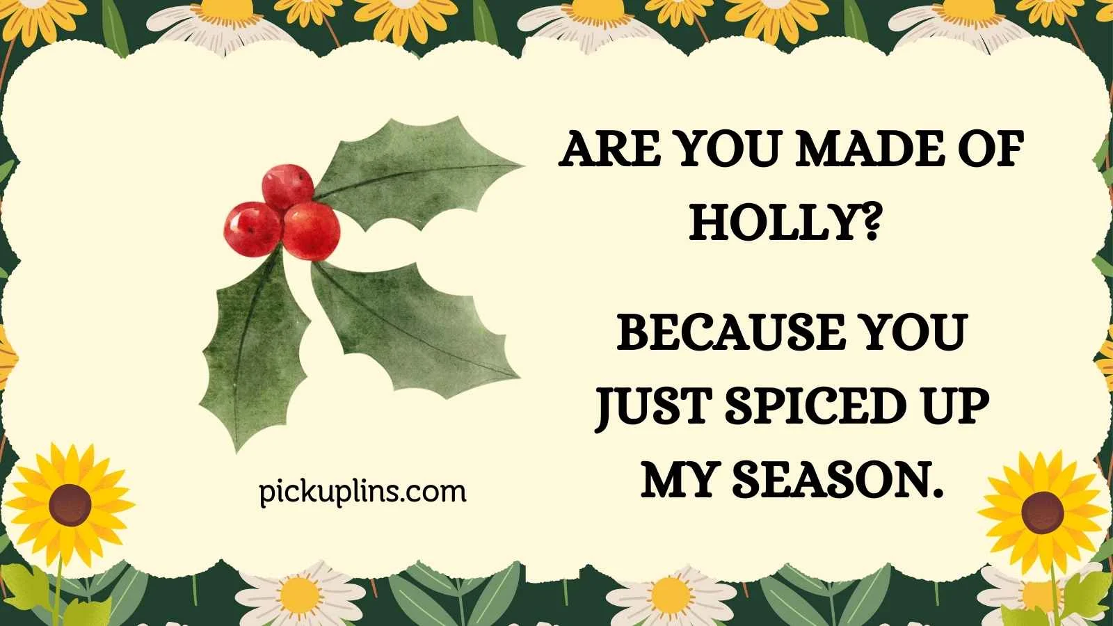 Holly Pick Up Lines