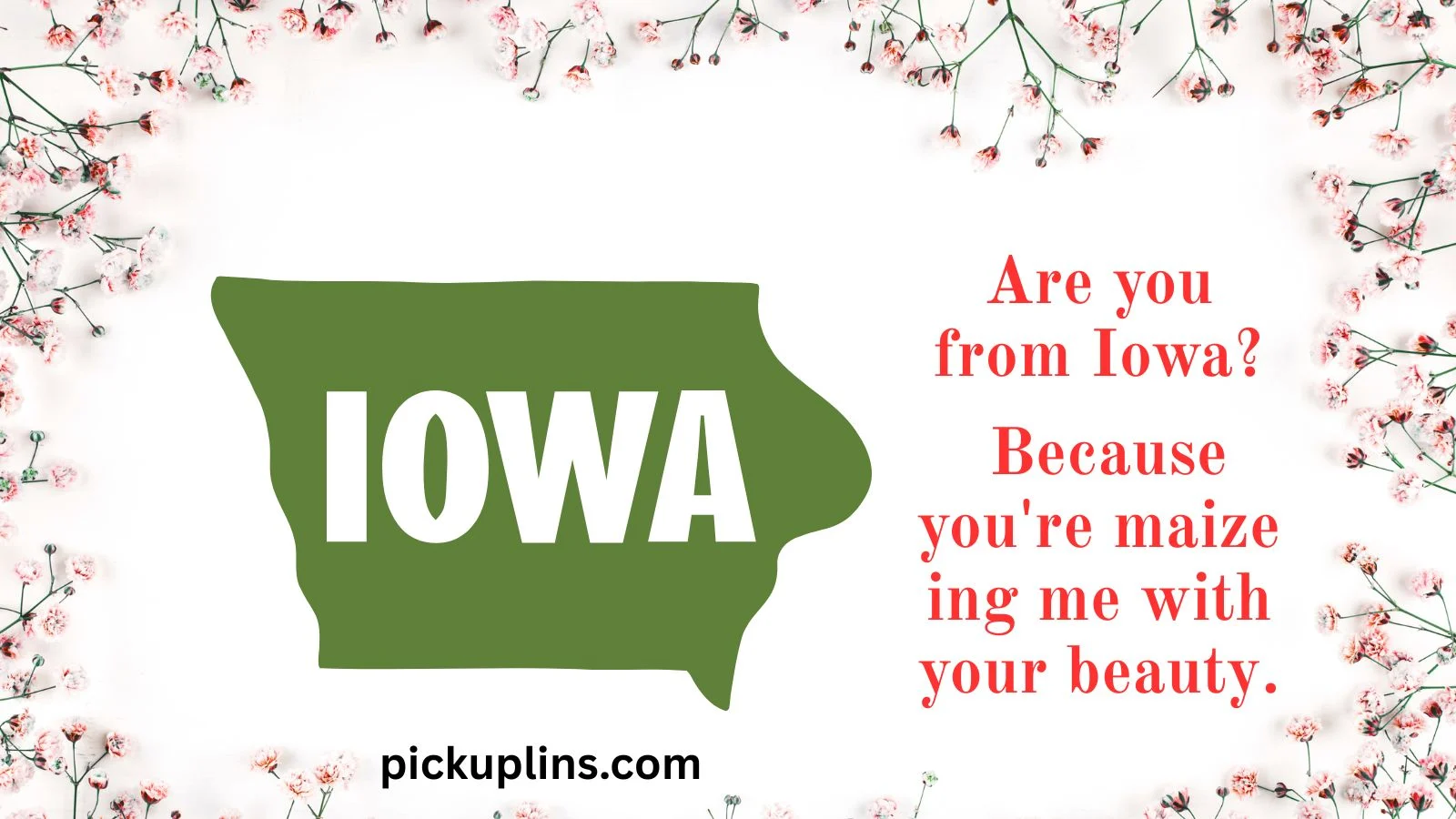 Iowa Pick Up Lines