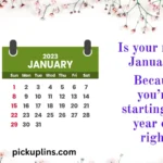 January Pick Up Lines
