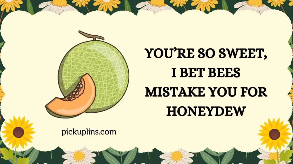 Juicy Honeydew Pick Up Lines