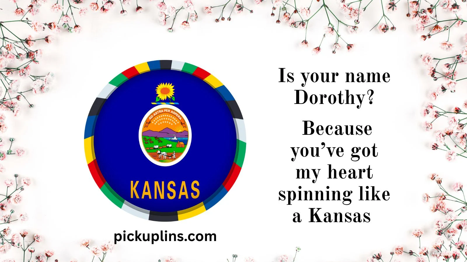 Kansas Pick Up Lines