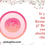 Kronenbourg Pick Up Lines