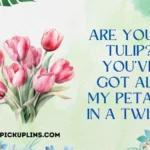 May Pick Up Lines