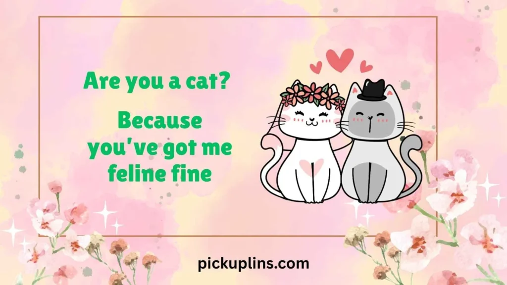 Purrfect Cat Charms
